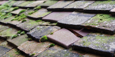 Tolleshunt Knights roof repair costs